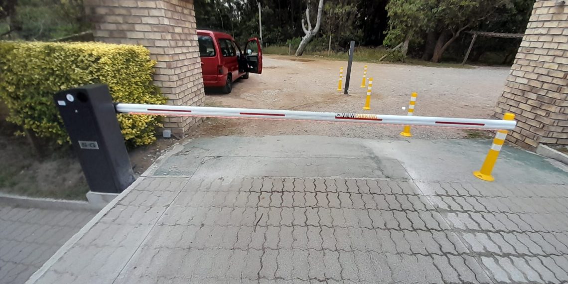 Elementor Single Post #2220